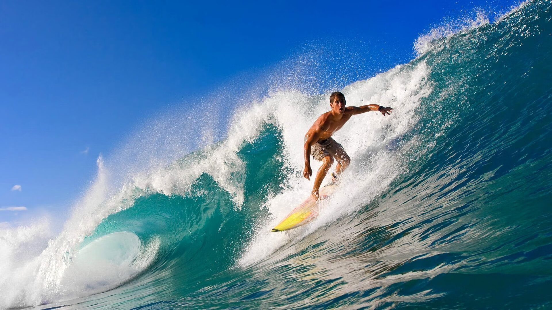 范戴克关键战不手软，拜仁节奏掌控丹麦，战术纪律与足球智慧的胜利